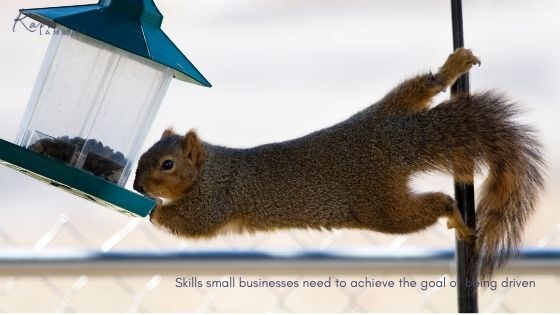 Skills small businesses need to achieve the goal of being driven Skills small business owners need to be driven and achieve goals.