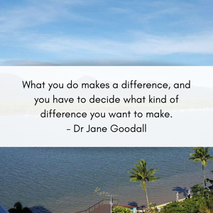 A scenic view of a waterfront with a quote by Dr. Jane Goodall: "What you do makes a difference, and you have to decide what kind of difference you want to make." Embrace your true purpose and let it guide your journey.